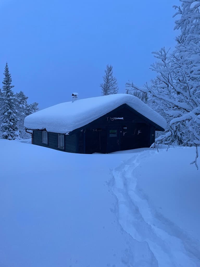 Fjällstuga Deluxe