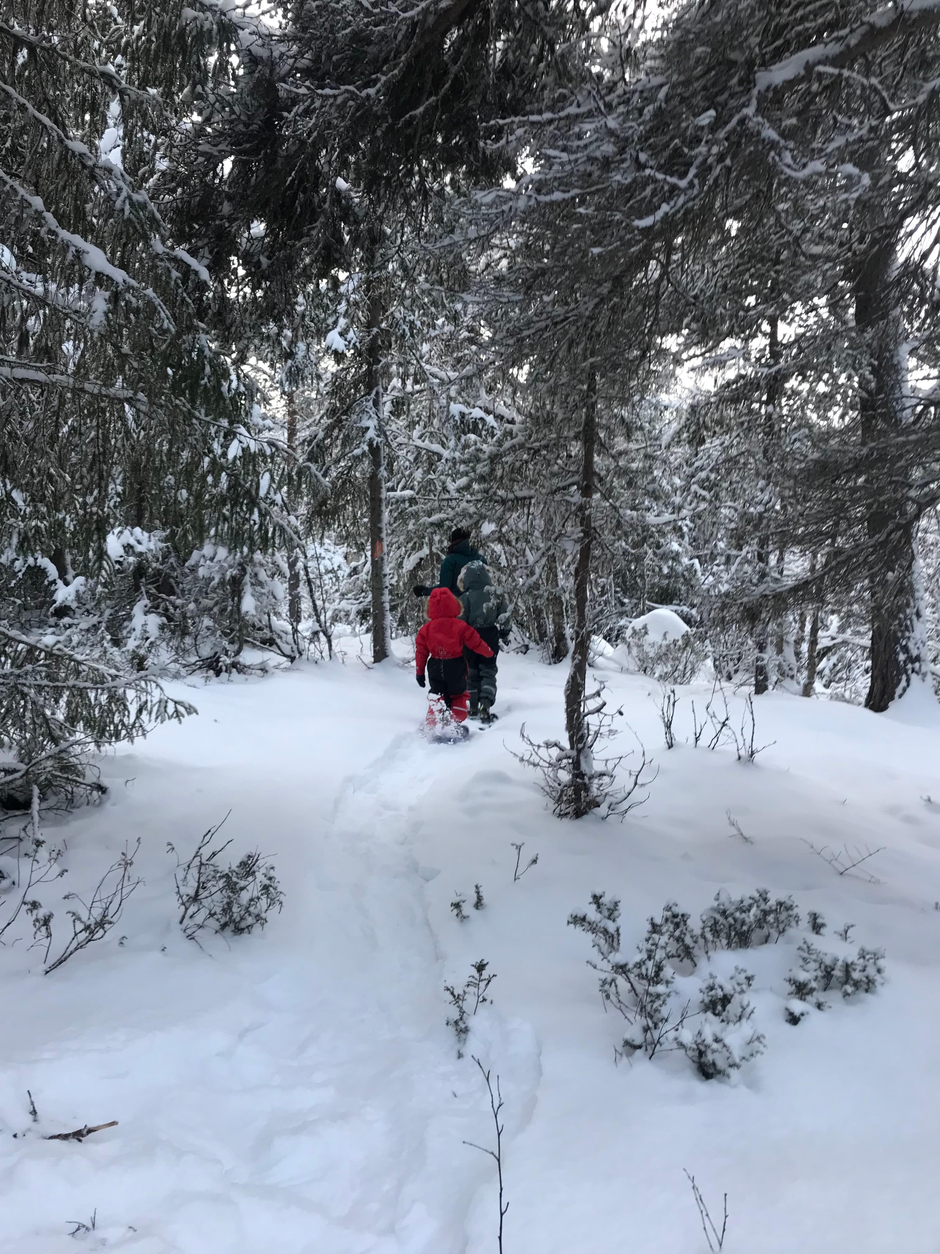 Snöskor vandring